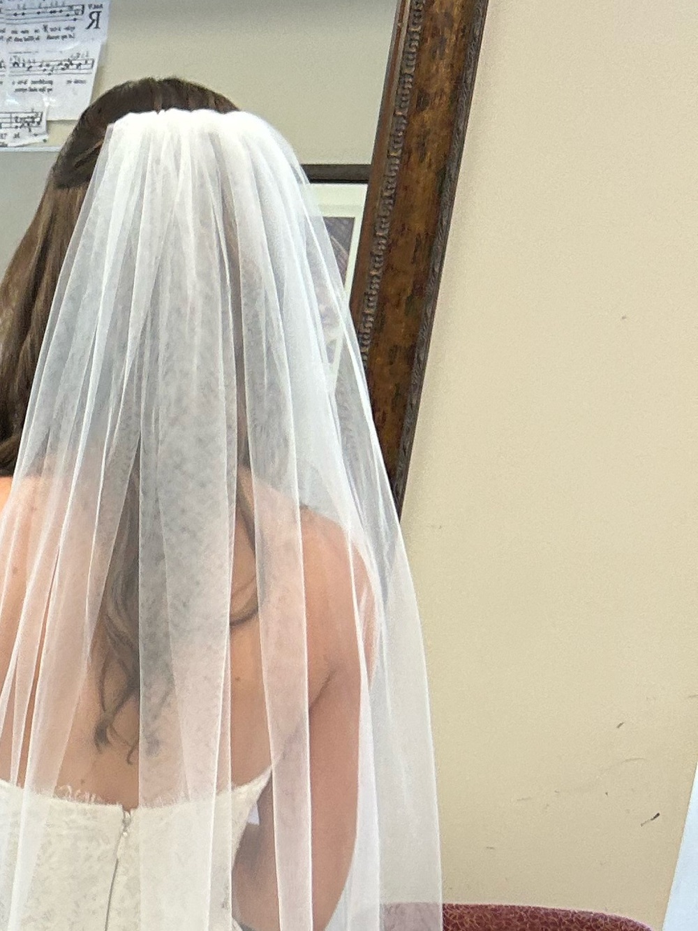 Elegant Cathedral length Veil